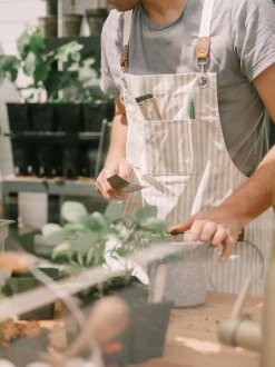 The Apron - Lauren'S Sage Stripe^Business & Pleasure Co. Fashion