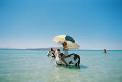 The Premium Beach Umbrella - 70'S Panel Cinque^Business & Pleasure Co. New