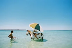 The Premium Beach Umbrella - 70'S Panel Cinque^Business & Pleasure Co. New