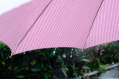 The Rain Umbrella - Lauren'S Pink Stripe^Business & Pleasure Co. Clearance