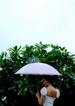 The Rain Umbrella - Lauren'S Pink Stripe^Business & Pleasure Co. Clearance