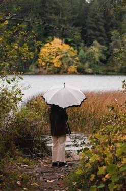 The Rain Umbrella - Rivie White^Business & Pleasure Co. Fashion