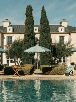 The Sling Chair - Rivie Green^Business & Pleasure Co. Online